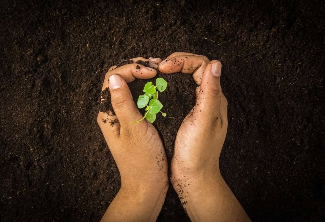 EARTH Integrated Archaeology